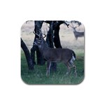 Texas Whitetail Rubber Square Coaster (4 pack)