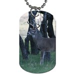 Texas Whitetail Dog Tag (Two Sides)