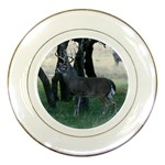 Texas Whitetail Porcelain Plate