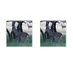 Texas Whitetail Cufflinks (Square)