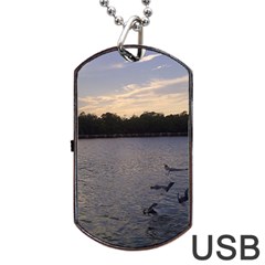 Intercoastal Seagulls 3 Dog Tag Usb Flash (one Side) by Jamboo