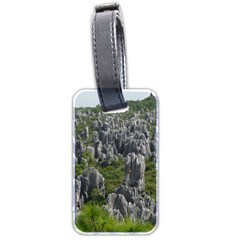 Stone Forest 1 Luggage Tags (two Sides) by trendistuff