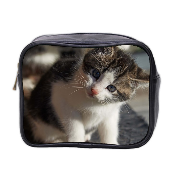 QUESTIONING KITTY Mini Toiletries Bag 2-Side