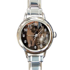 Cute Kitties Round Italian Charm Watches by trendistuff