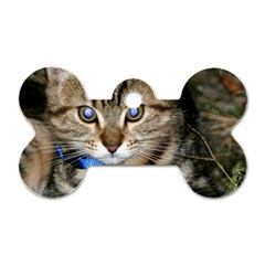 Blue-eyed Kitty Dog Tag Bone (two Sides) by trendistuff