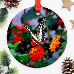 Butterfly Flowers 1 Round Ornament (two Sides)  by trendistuff