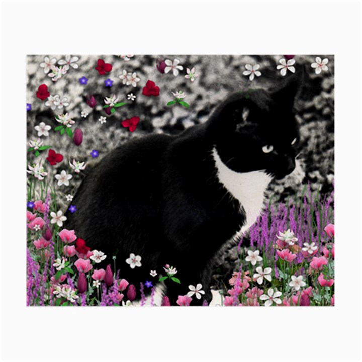 Freckles In Flowers Ii, Black White Tux Cat Small Glasses Cloth