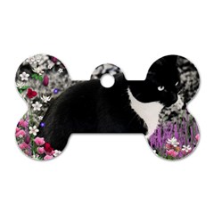 Freckles In Flowers Ii, Black White Tux Cat Dog Tag Bone (one Side) by DianeClancy