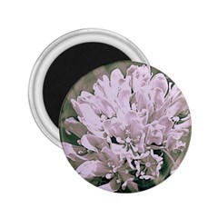 White Flower 2 25  Magnets by uniquedesignsbycassie