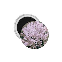 White Flower 1 75  Magnets by uniquedesignsbycassie