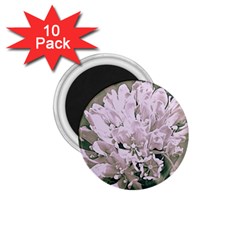 White Flower 1 75  Magnets (10 Pack)  by uniquedesignsbycassie