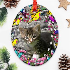 Emma In Butterflies I, Gray Tabby Kitten Ornament (oval Filigree)  by DianeClancy