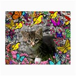 Emma In Butterflies I, Gray Tabby Kitten Small Glasses Cloth Front