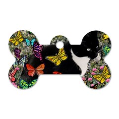 Freckles In Butterflies I, Black White Tux Cat Dog Tag Bone (one Side) by DianeClancy