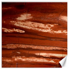 Red Earth Natural Canvas 20  X 20   by UniqueCre8ion