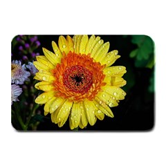 Yellow Flower Close Up Plate Mats by MichaelMoriartyPhotography