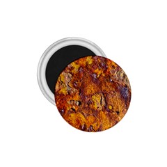 Rusted Metal Surface 1 75  Magnets by igorsin