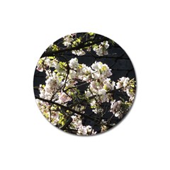 Japanese Cherry Blossom Magnet 3  (round) by picsaspassion