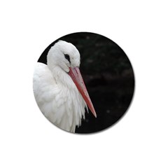 Stork Bird Magnet 3  (round) by picsaspassion