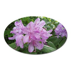 Purple Rhododendron Flower Oval Magnet by picsaspassion