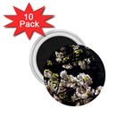 Japanese cherry flower 1.75  Magnets (10 pack)  Front