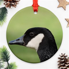 Goose Bird In Nature Round Ornament (two Sides)  by picsaspassion