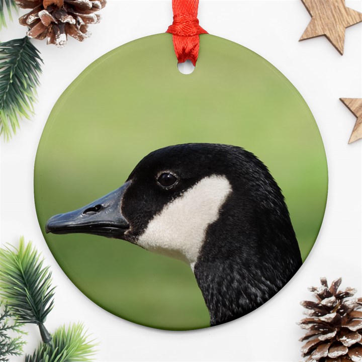 Goose bird in nature Round Ornament (Two Sides) 