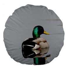 Swimming Duck Large 18  Premium Flano Round Cushions by picsaspassion