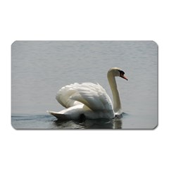 Swimming White Swan Magnet (rectangular) by picsaspassion