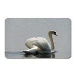 Swimming white Swan Magnet (Rectangular) Front