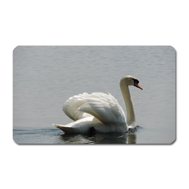 Swimming white Swan Magnet (Rectangular)