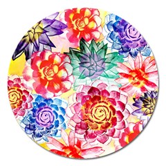 Colorful Succulents Magnet 5  (round) by DanaeStudio