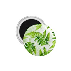 Fern Leaves 1 75  Magnets by DanaeStudio