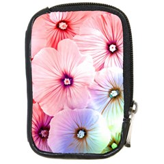 Rainbow Flower Compact Camera Cases by Brittlevirginclothing