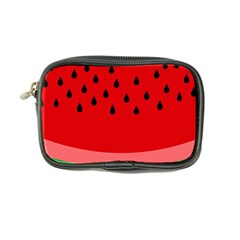 Watermelon  Coin Purse by Valentinaart