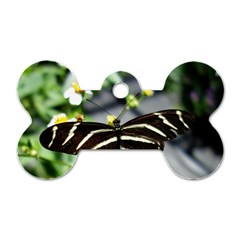 Butterfly #22 Dog Tag Bone (one Side) by litimages