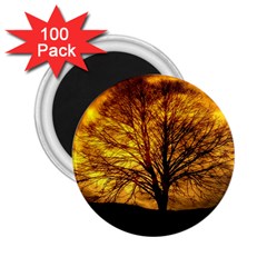 Moon Tree Kahl Silhouette 2 25  Magnets (100 Pack)  by Nexatart