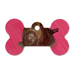 Snail Pink Background Dog Tag Bone (two Sides) by Nexatart