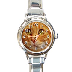 Cat Red Cute Mackerel Tiger Sweet Round Italian Charm Watch by Nexatart