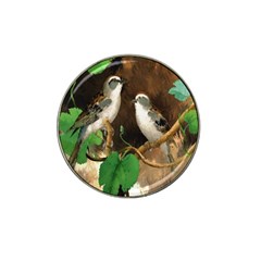 Backdrop Colorful Bird Decoration Hat Clip Ball Marker (4 Pack) by Nexatart