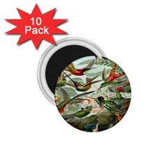 Beautiful Bird 1 75  Magnets (10 Pack)  by Nexatart