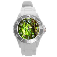 Spider Spiders Web Spider Web Round Plastic Sport Watch (l) by Nexatart