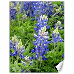 Blue Bonnets Canvas 12  X 16   by CreatedByMeVictoriaB