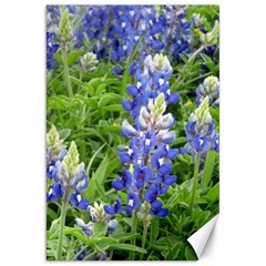 Blue Bonnets Canvas 20  X 30   by CreatedByMeVictoriaB