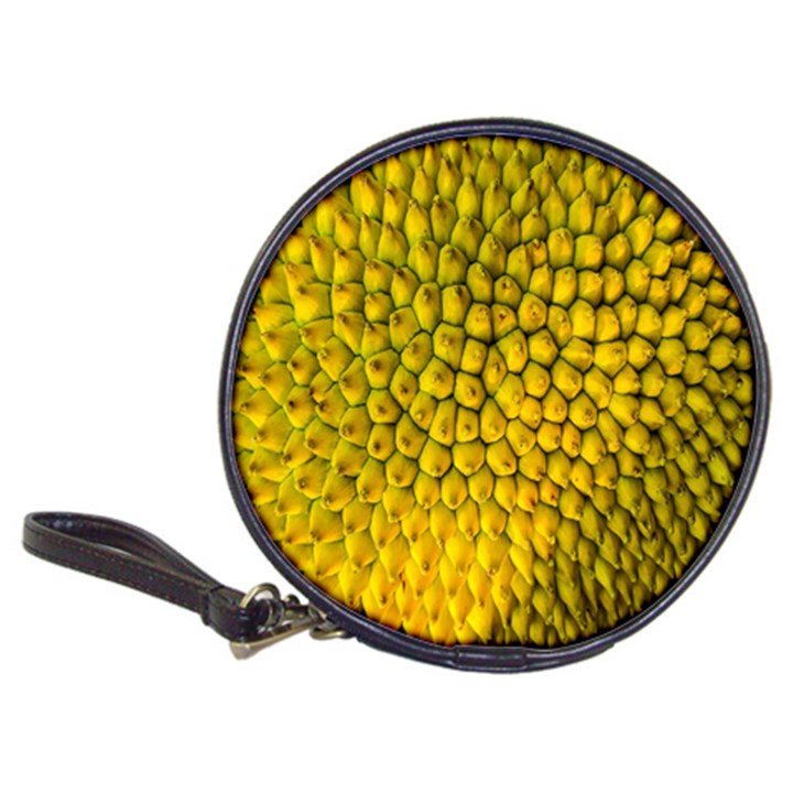 Jack Shell Jack Fruit Close Classic 20-CD Wallets