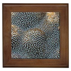 Coral Pattern Framed Tiles by Amaryn4rt