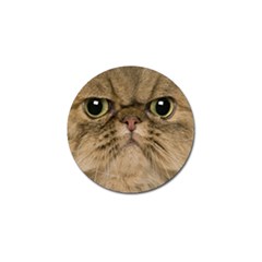 Cute Persian Cat Face In Closeup Golf Ball Marker (4 Pack) by Amaryn4rt