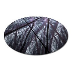 Fractal Art Picture Definition  Fractured Fractal Texture Oval Magnet by Simbadda