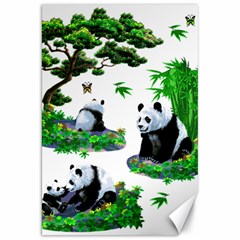 Cute Panda Cartoon Canvas 20  X 30   by Simbadda