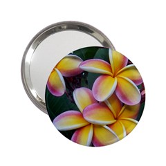 Premier Mix Flower 2 25  Handbag Mirrors by alohaA